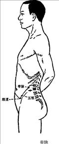 带脉的功能主治是什么