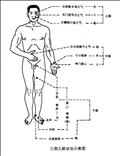 青年女性警惕肾阴虚