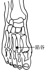 中药丰胸