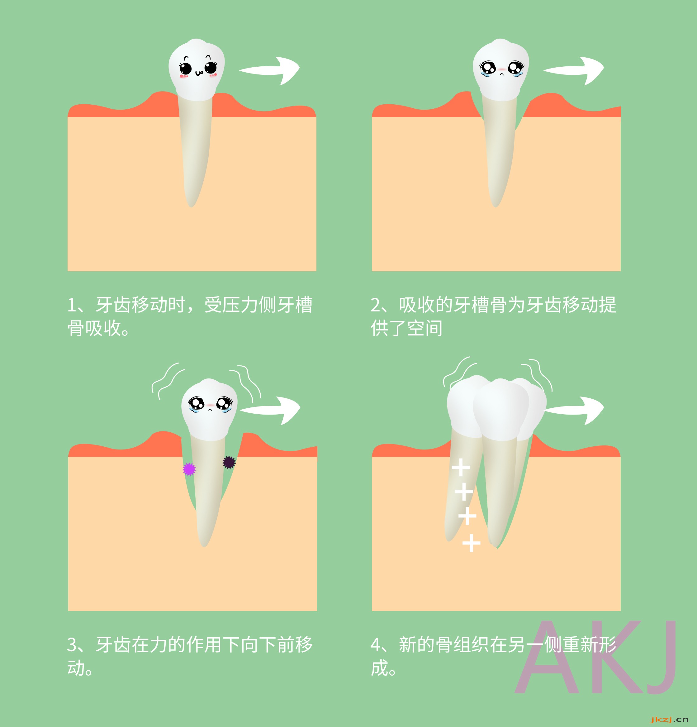 牙齿矫正的过程