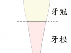 打桩后的牙齿以后还可以换牙冠吗