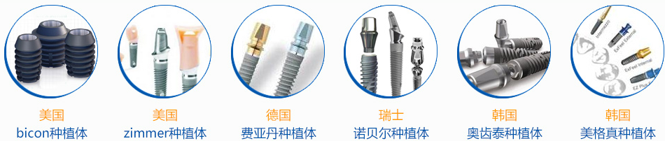 种植一个牙的价格是多少