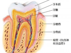 小孩蛀牙如何治疗