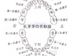 窝沟封闭几岁做好