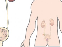 肾结石多久复查一次，腰和小腹时不时不舒服怎么回事