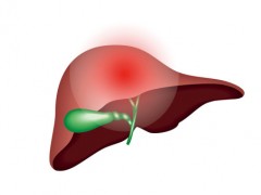 乙肝患者能吃动物肝脏吗 乙肝病人可多吃这类食物保肝