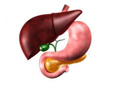 哪些食物乙肝病人不适合吃 乙肝患者不宜吃的6种食物